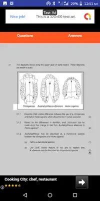 Grade 12 Evolution | Life Scie android App screenshot 4